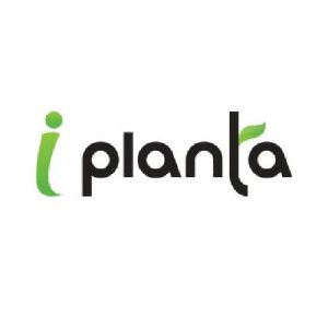 Kreative Hunks with I PLANTA